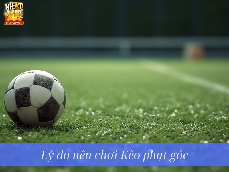 Lý do nên chơi kèo phạt góc