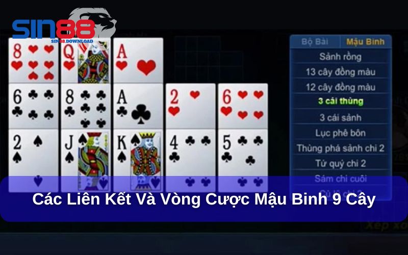 Tìm hiểu các liên kết và vòng cược trong Mậu Binh 9 cây