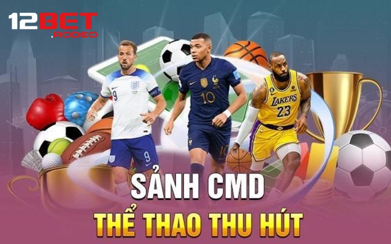 Các môn thể thao nổi bật tại CMD Sports được yêu thích hiện nay